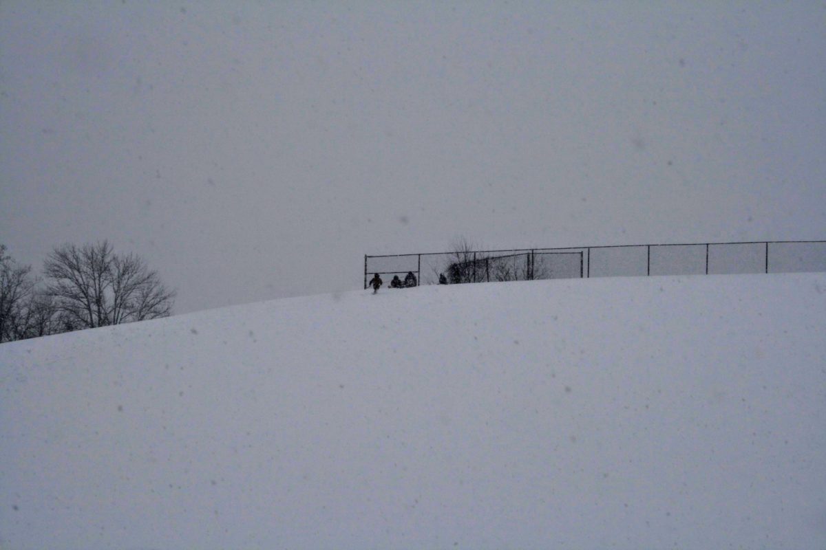 Impromptu Sledding