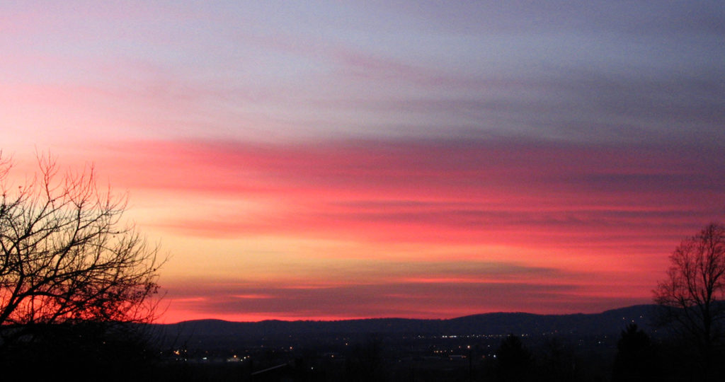 Trees silhouetted against a pink-red sky over the town of Frederick, Maryland. 