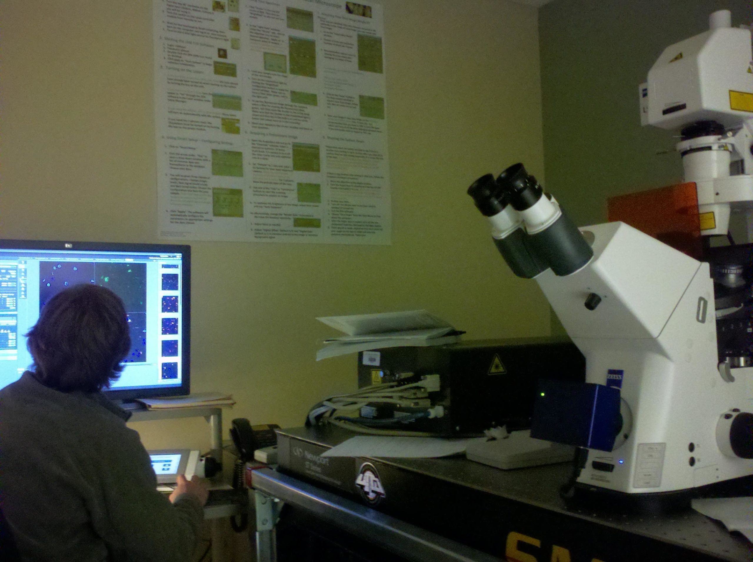 Confocal Microscopy Castello.me